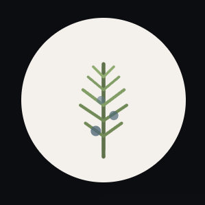 Juniper